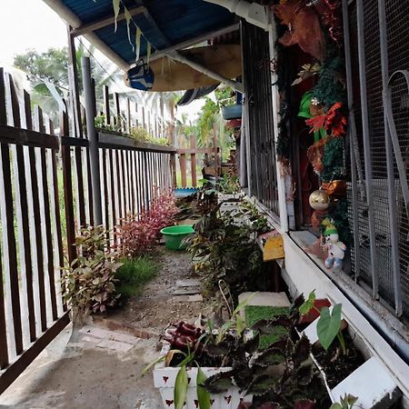 Hostal Cafe Axel Bocas Town Bagian luar foto